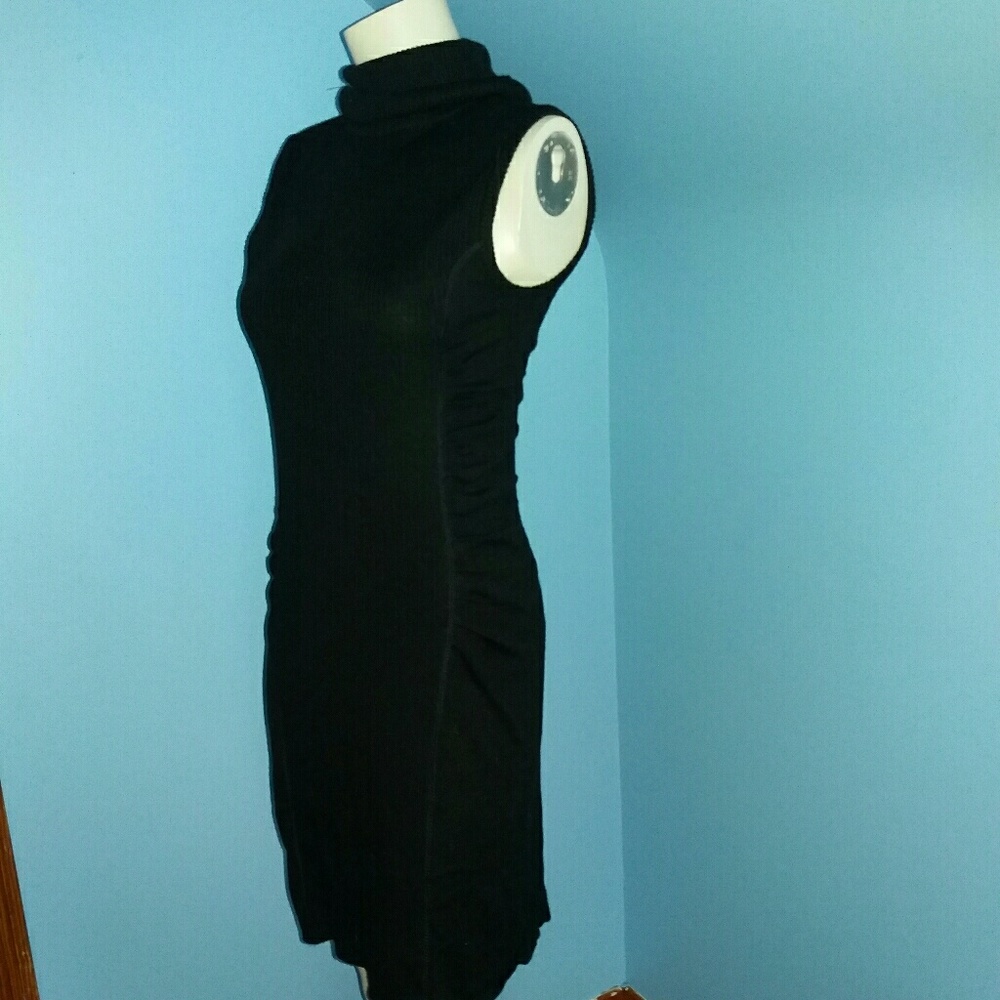 Turtle Neck Dress